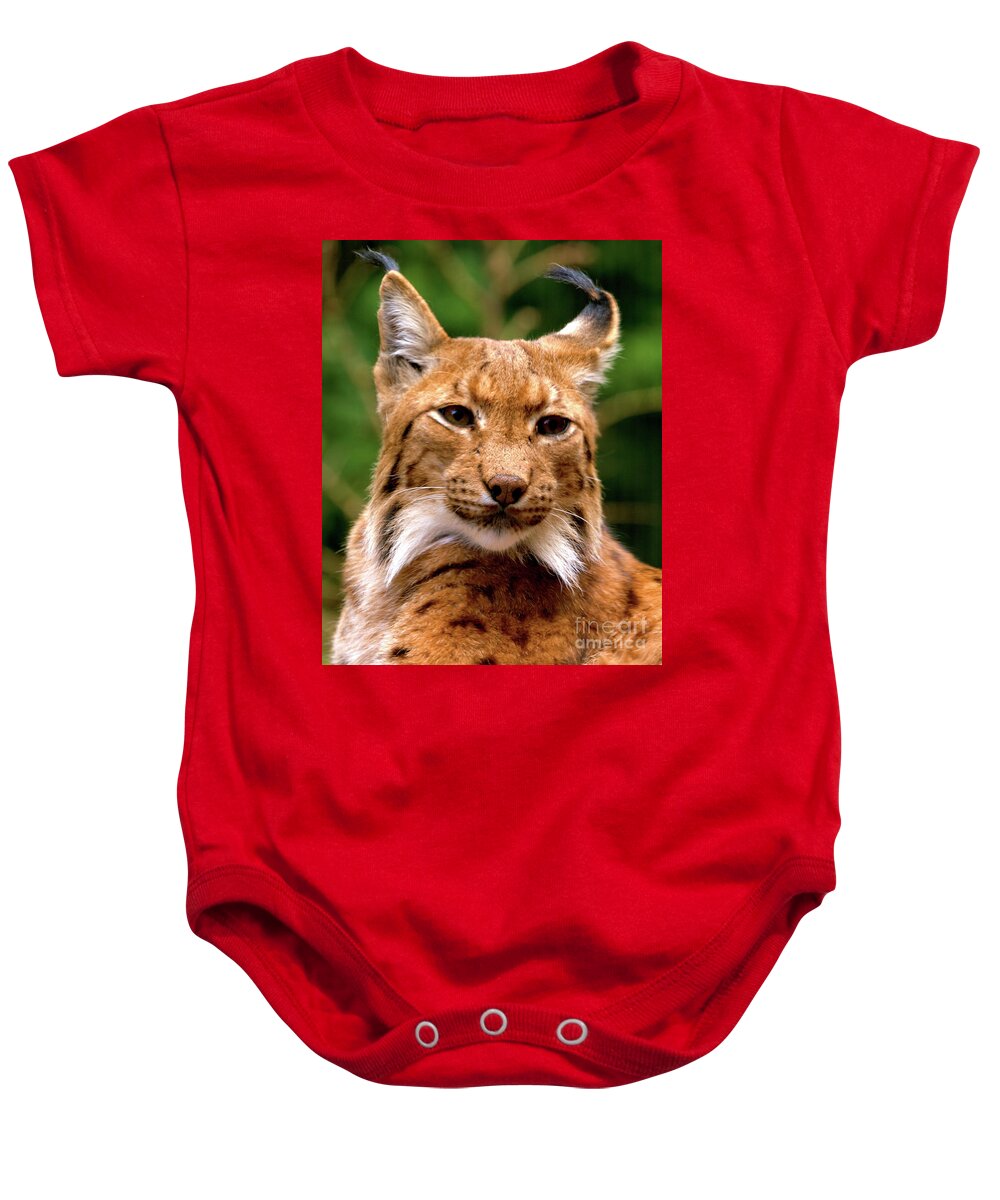 Cat Baby Onesie featuring the photograph Lynx Portrait by Baggieoldboy