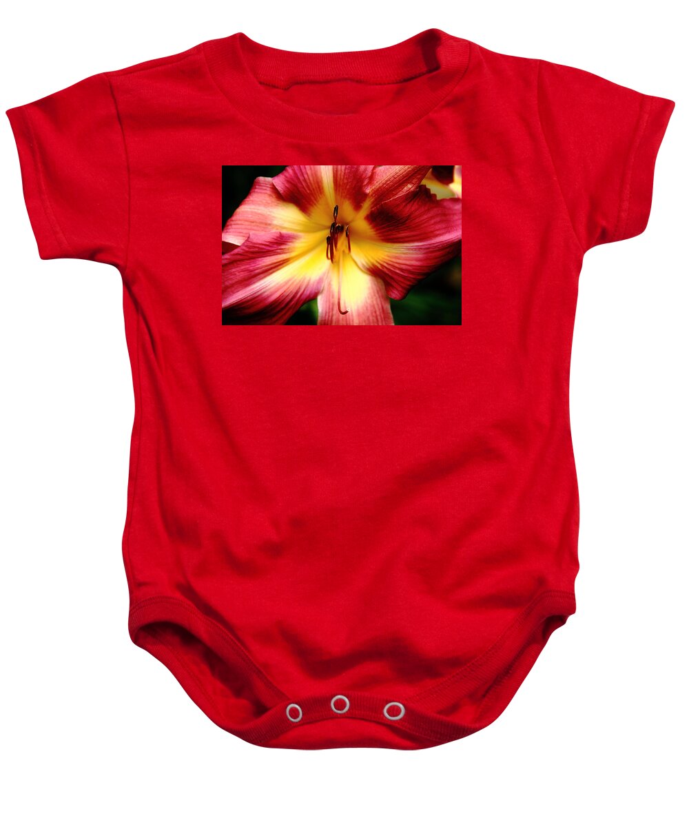 Flower Baby Onesie featuring the photograph Maroon Daylily by Allen Nice-Webb