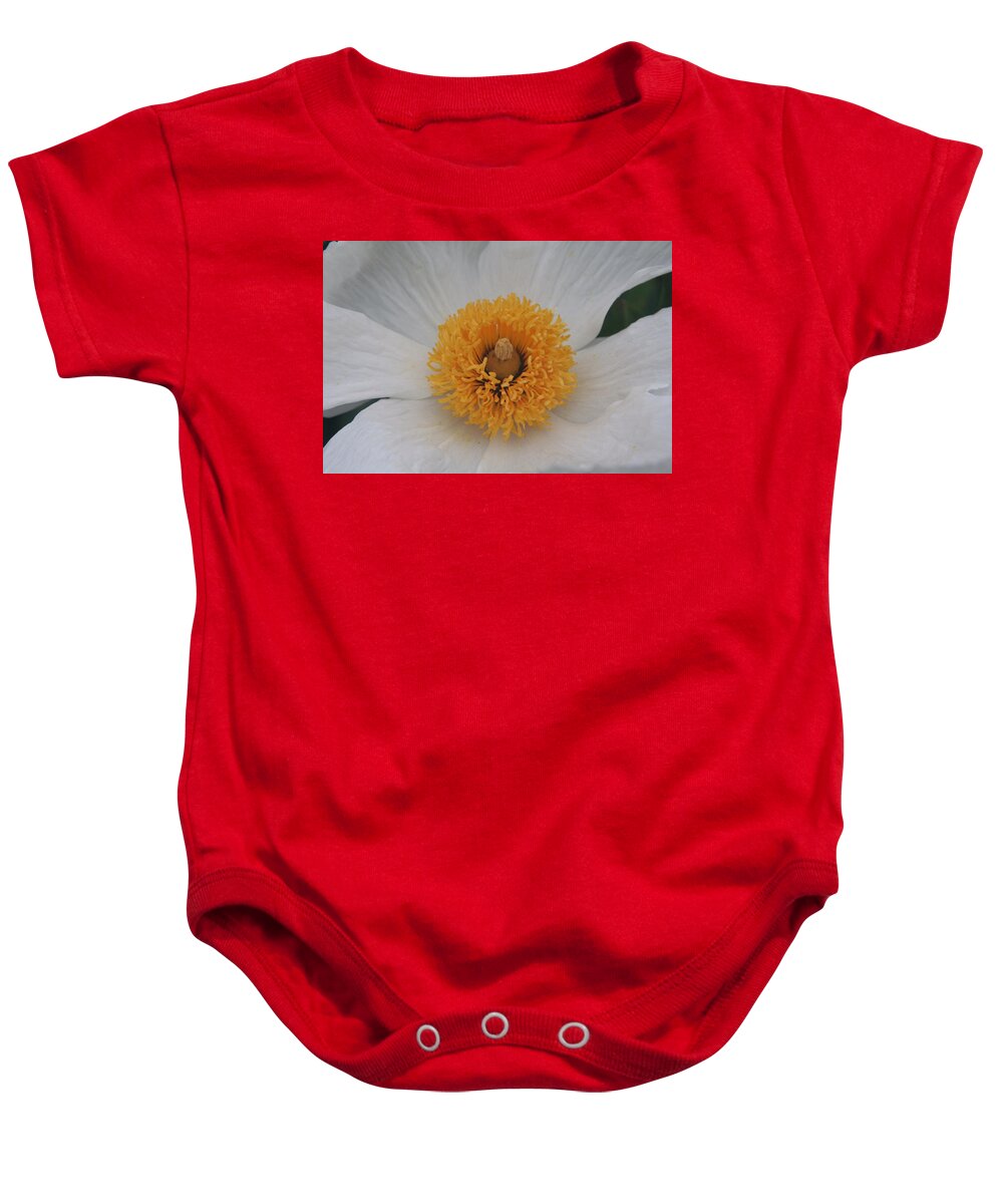 Flower Baby Onesie featuring the photograph Matajilla Madness by Cheryl Wallace