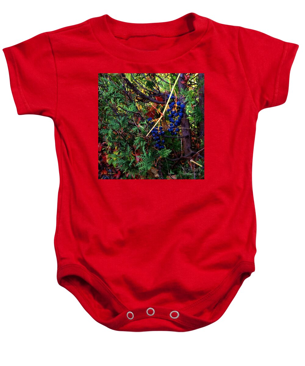 Autumn Baby Onesie featuring the painting October Potpourri by RC DeWinter