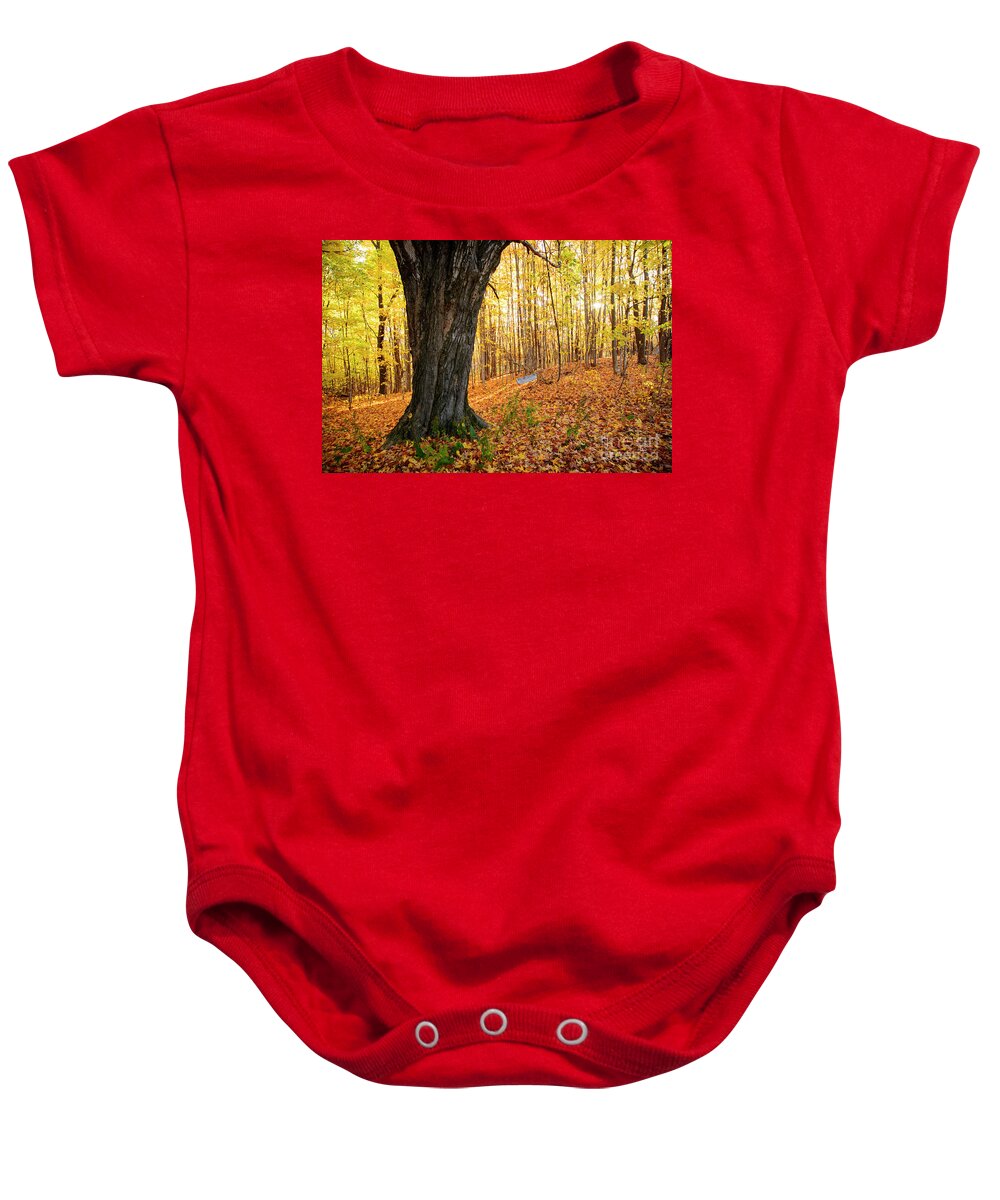 Maple Baby Onesie featuring the photograph Old Tree Swing by Alana Ranney