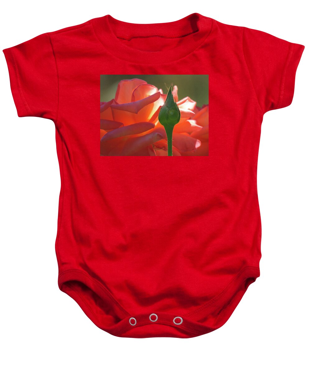Rose Baby Onesie featuring the photograph Serenity - Orange Rose and Bud - Photography - Floral Macro by Brooks Garten Hauschild
