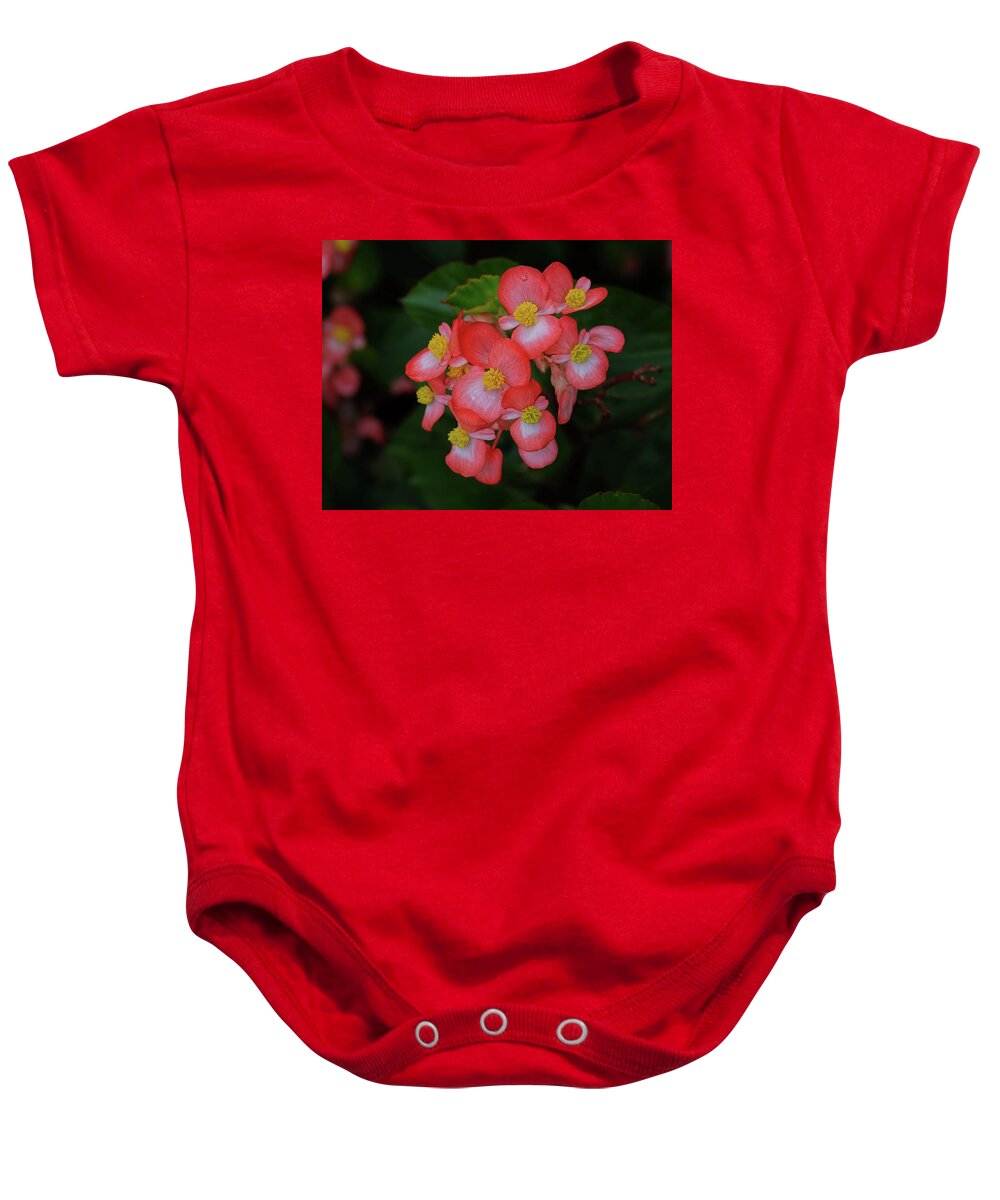 Begonia Flower Baby Onesie featuring the photograph Begonias by Ronda Ryan