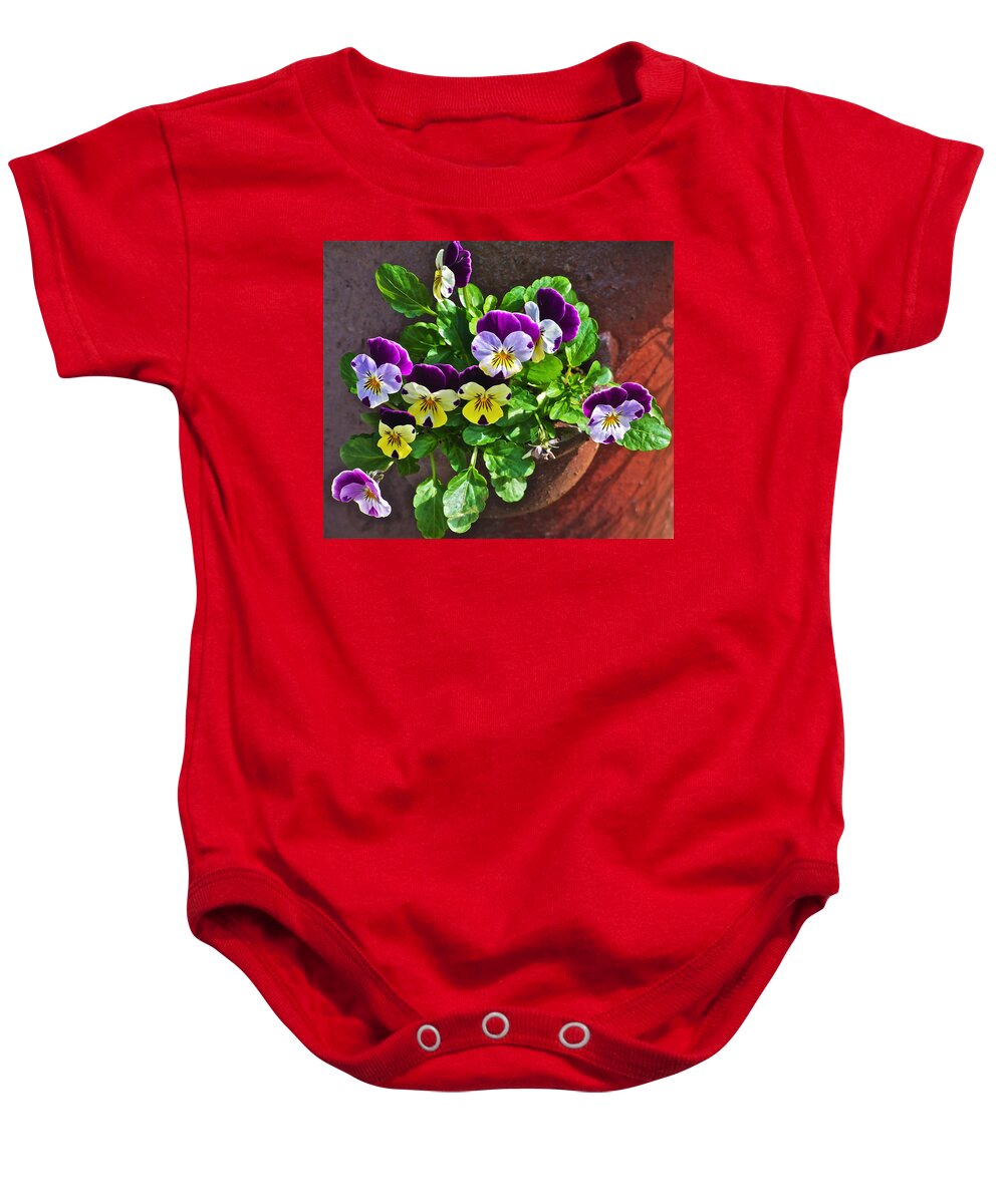 Pansy Baby Onesie featuring the photograph Pansy Sunshine by Janis Senungetuk