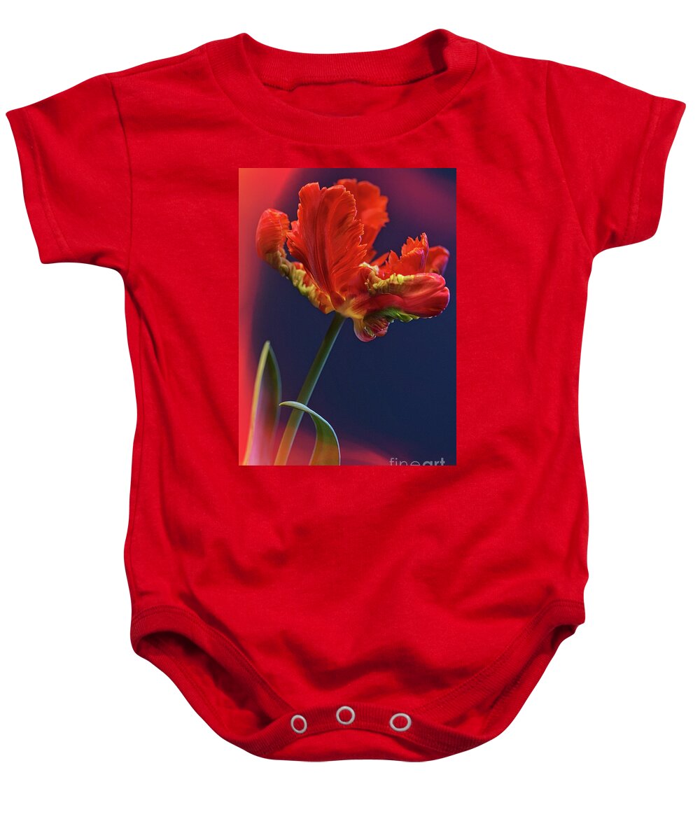 Tulip Baby Onesie featuring the photograph Parrot Tulip - Feathered Petals by Heiko Koehrer-Wagner