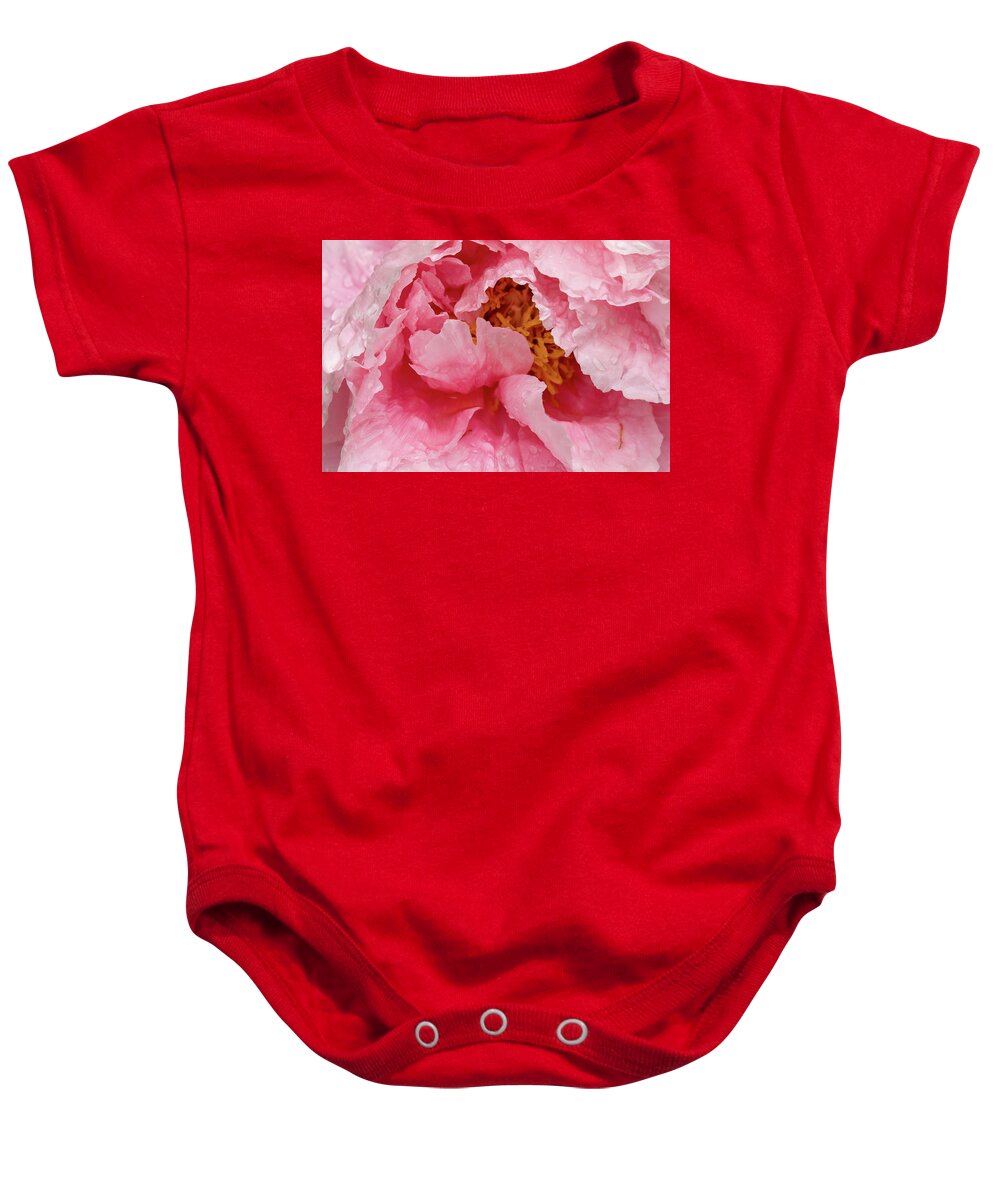 Paeonia Lactiflora Baby Onesie featuring the photograph Petals on Chinese peony abstract background by Karen Foley