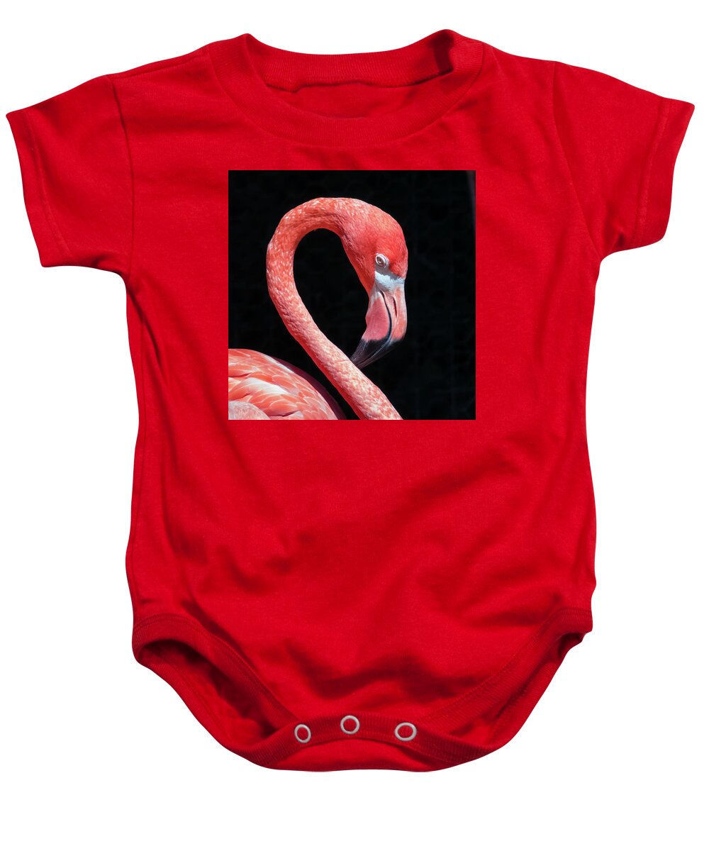 Pink Flamingo Baby Onesie featuring the photograph Pink Flamingo by Robert Bellomy