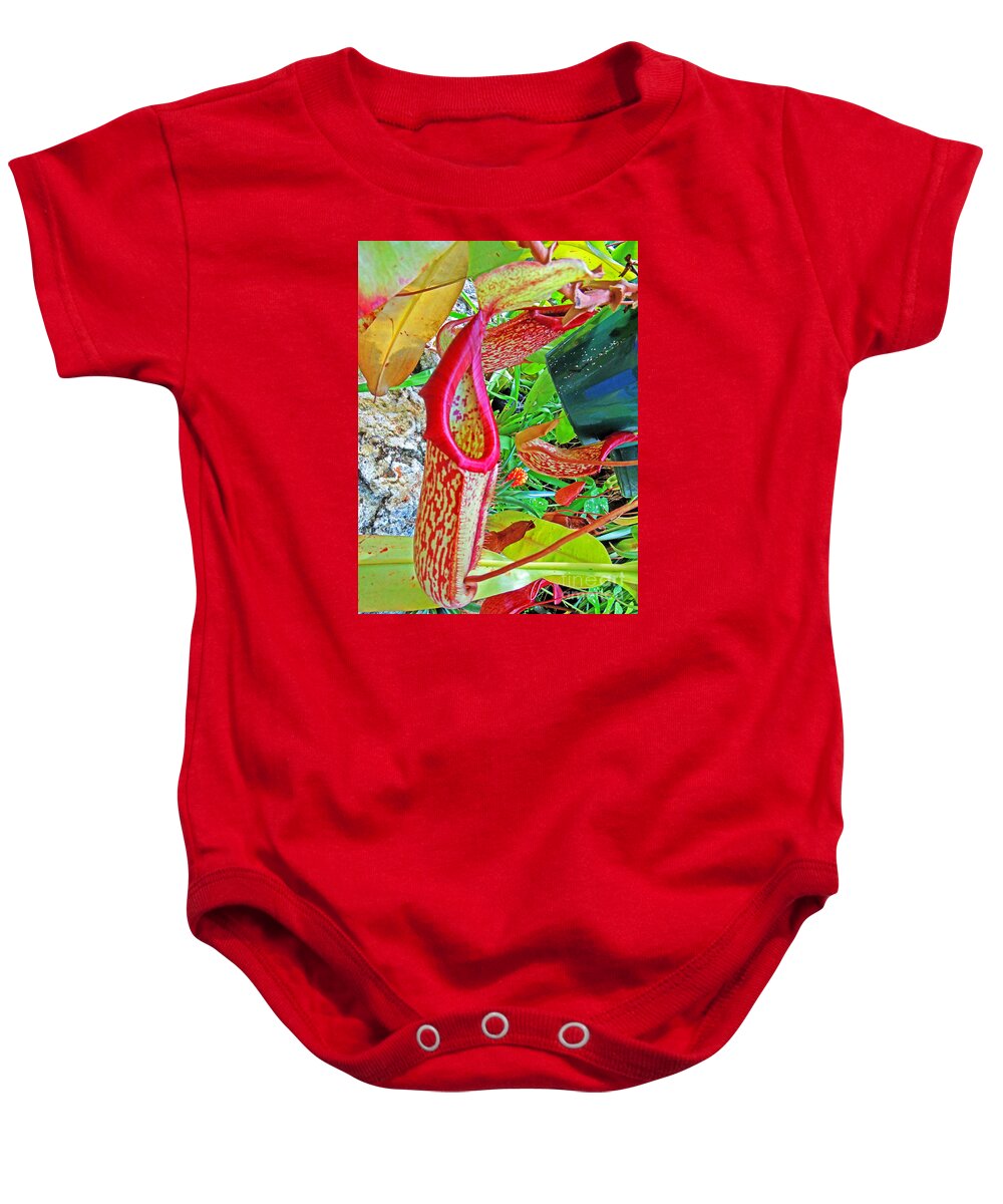  Baby Onesie featuring the photograph Pitcher Plant in the Woods 4 by David Frederick