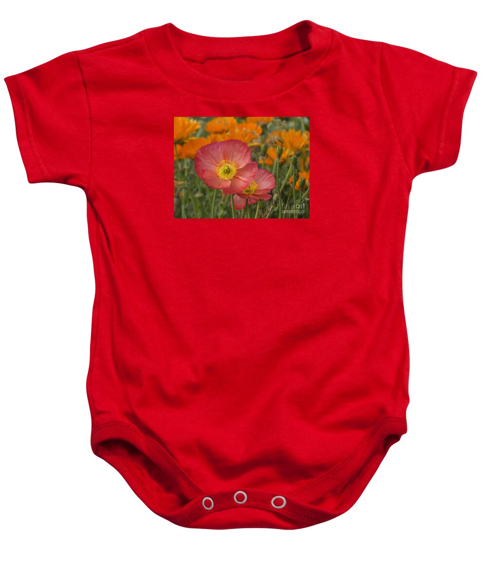 Flowers Baby Onesie featuring the photograph Poppies on Orange by Lili Feinstein
