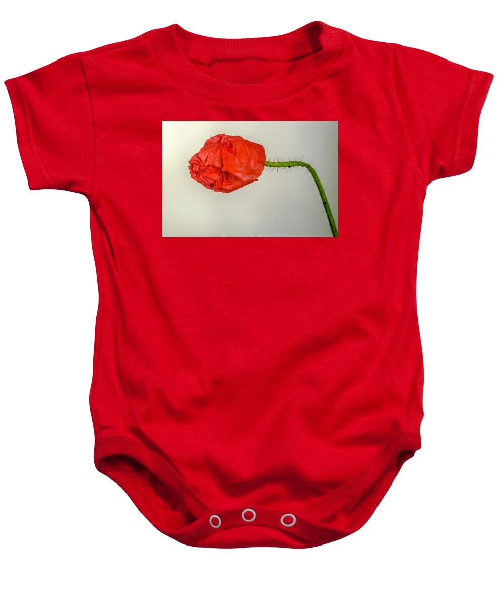 Poppies Baby Onesie featuring the photograph Posing fire red poppy by Wolfgang Stocker