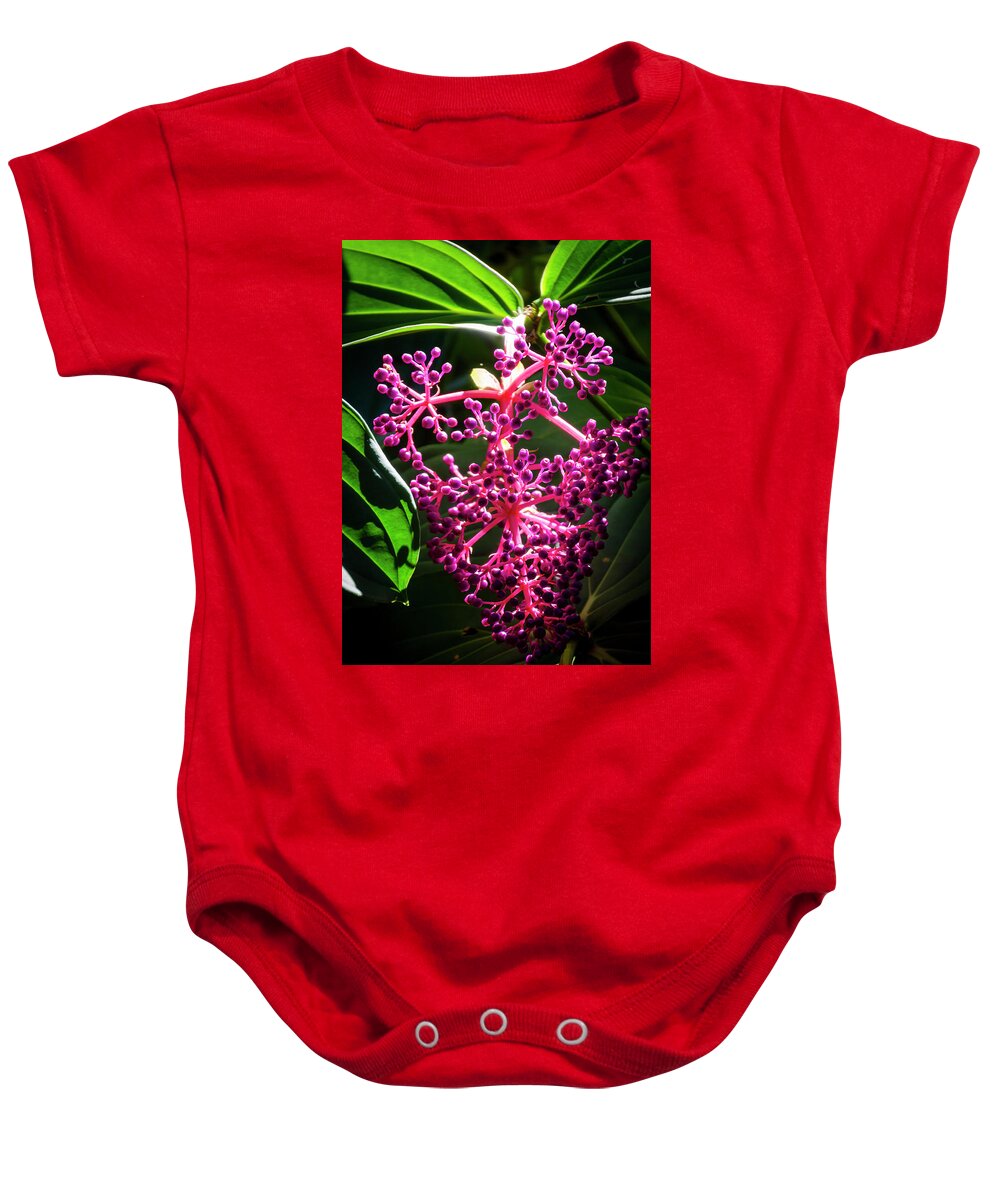 Flowers Baby Onesie featuring the photograph Purple Plant by Daniel Murphy