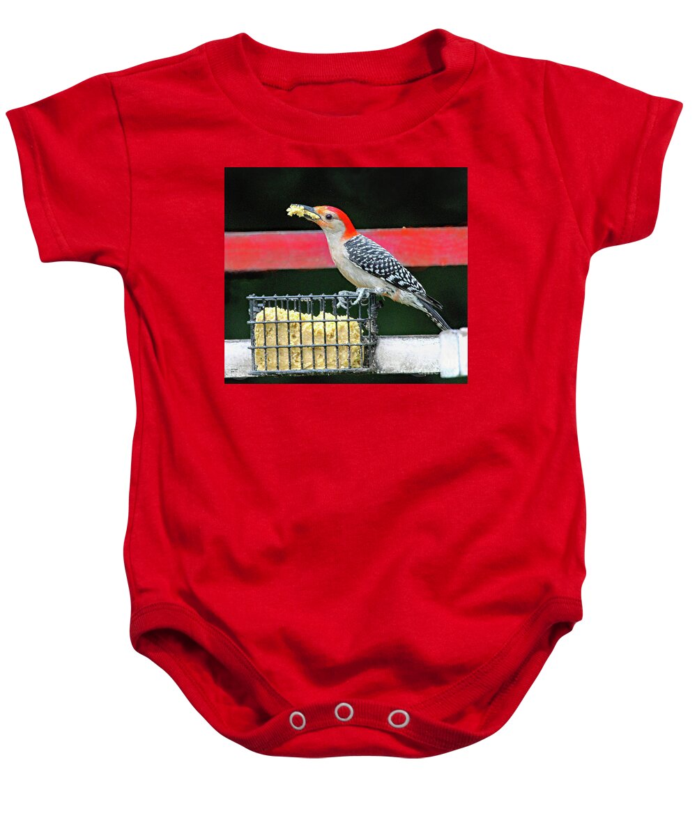 Nature Baby Onesie featuring the photograph Red Bellied Woodpecker by DB Hayes