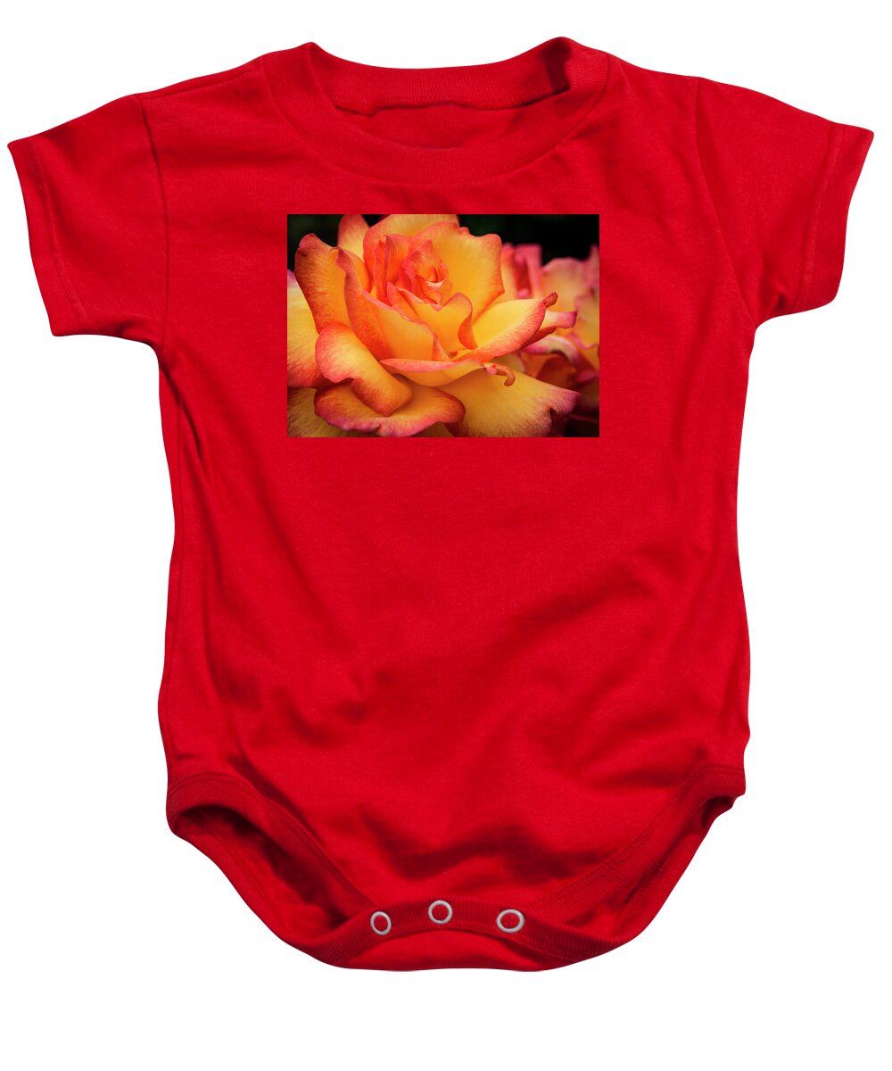 Jean Noren Baby Onesie featuring the photograph Rose Beauty by Jean Noren