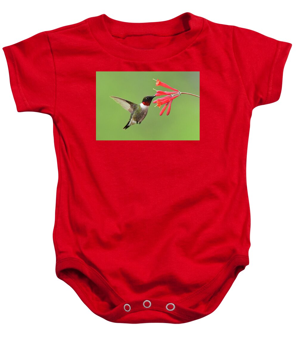 Bird Baby Onesie featuring the photograph Ruby-throated Hummer by Alan Lenk