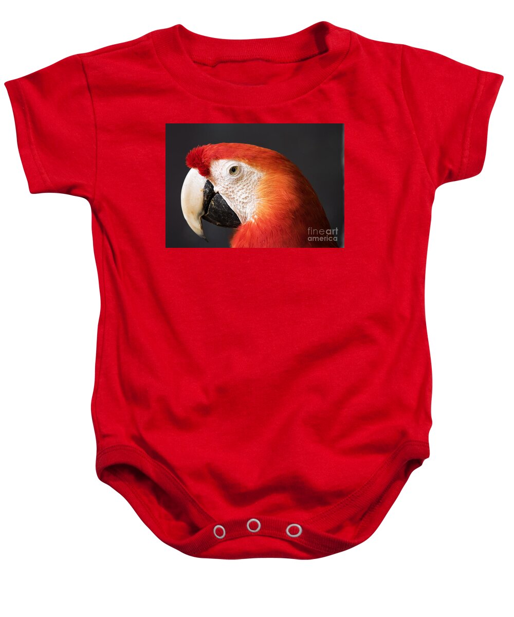 Exotic Baby Onesie featuring the photograph Scarlet Macaw by Bill Frische