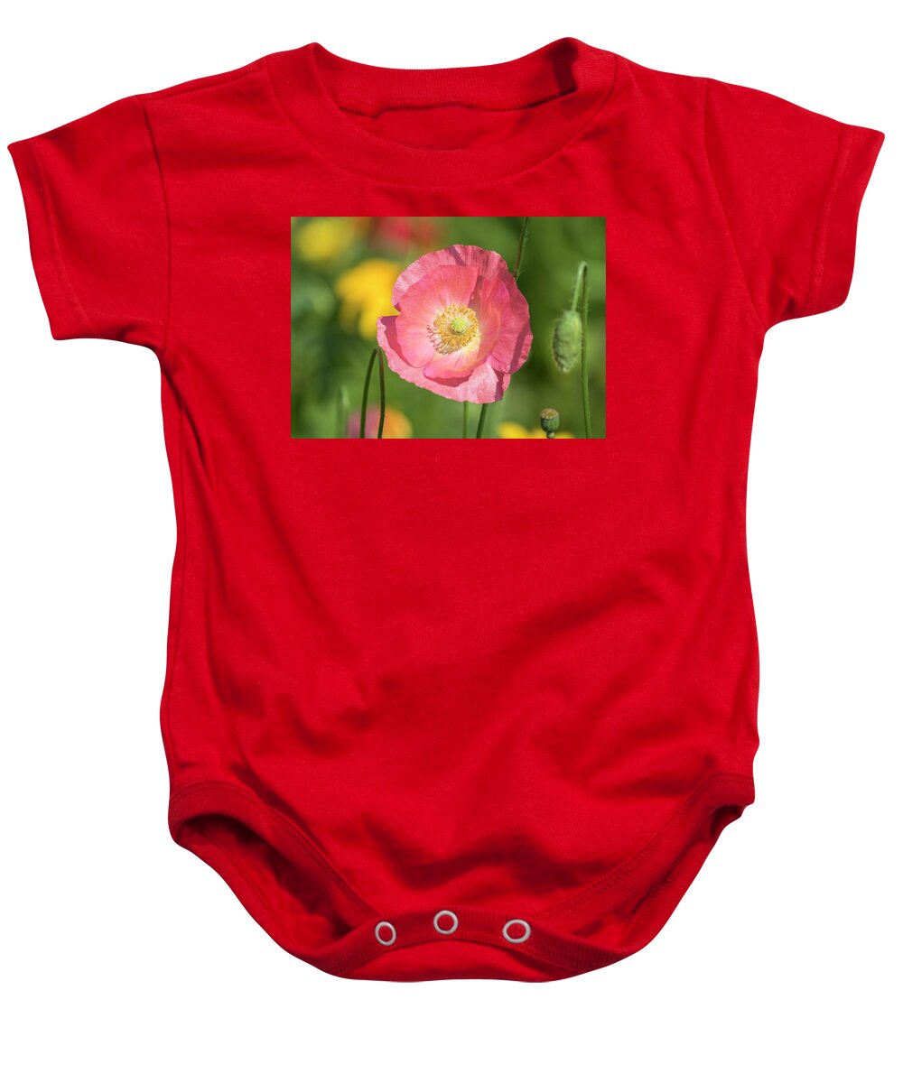 Shirley Poppy Baby Onesie featuring the photograph Shirley Poppy 2017-3 by Thomas Young