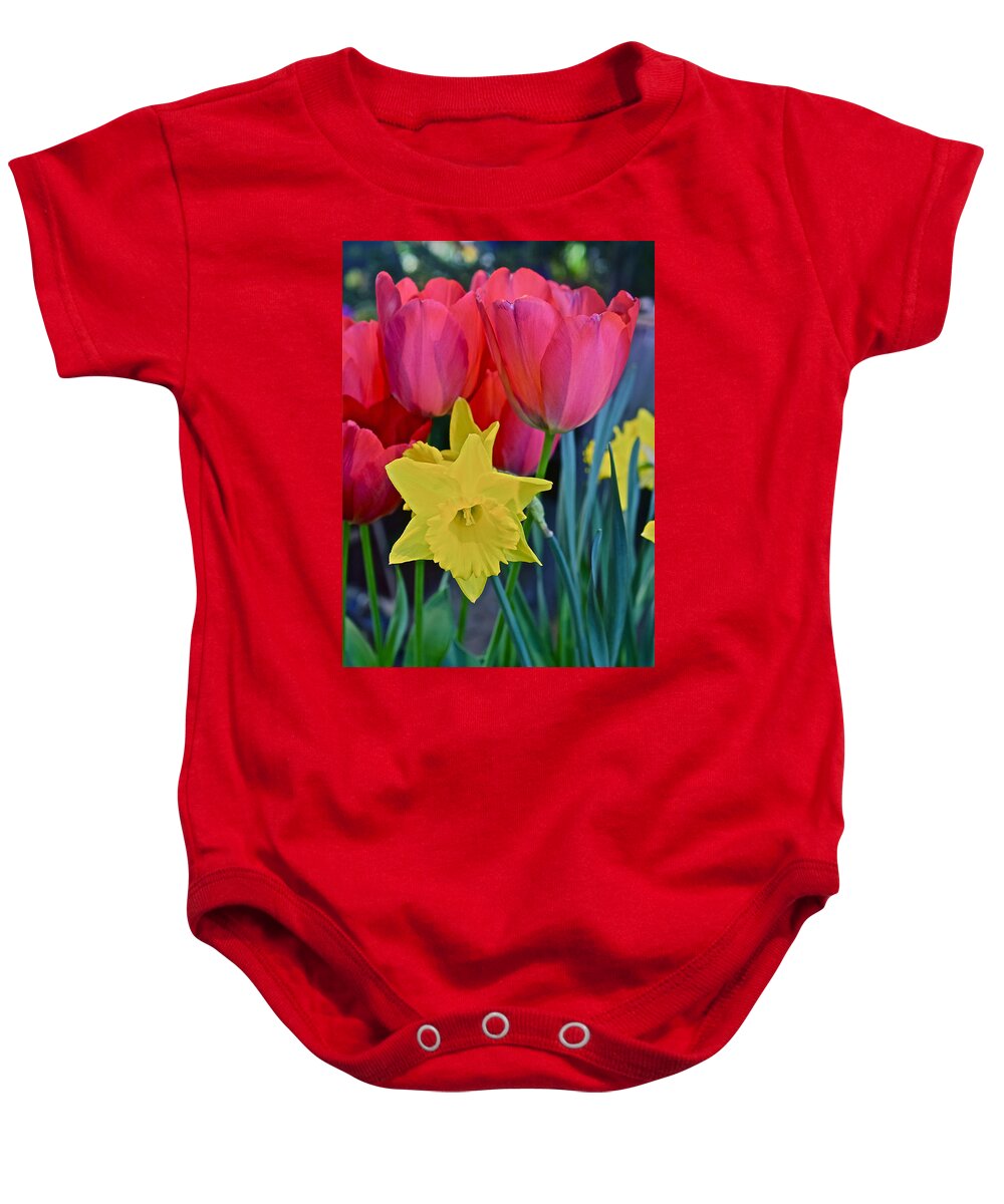 Tulips Baby Onesie featuring the photograph Spring Show 14 Large Red Tulips and Daffodil by Janis Senungetuk
