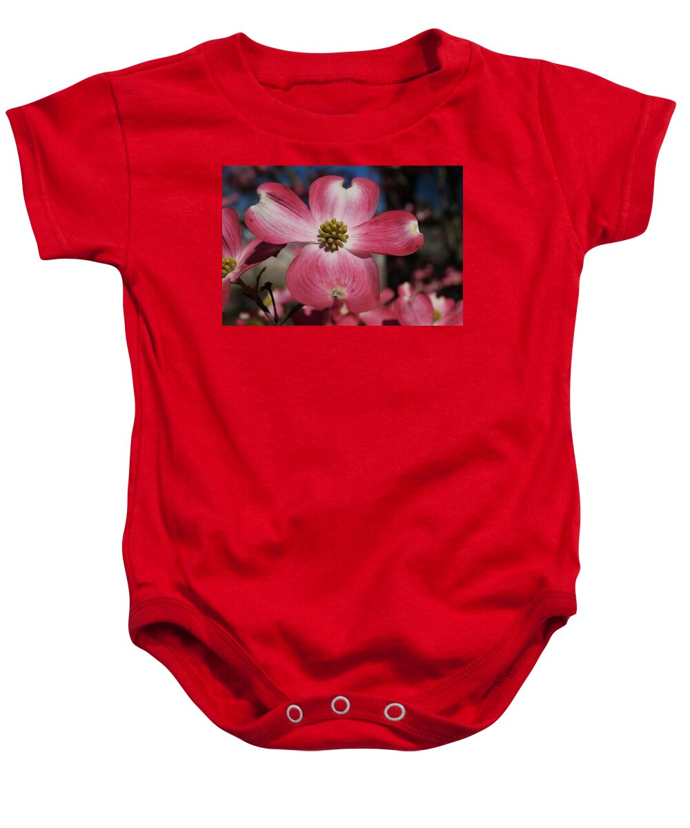 Tennessee Baby Onesie featuring the photograph Springtime in Tennessee by Beth Collins