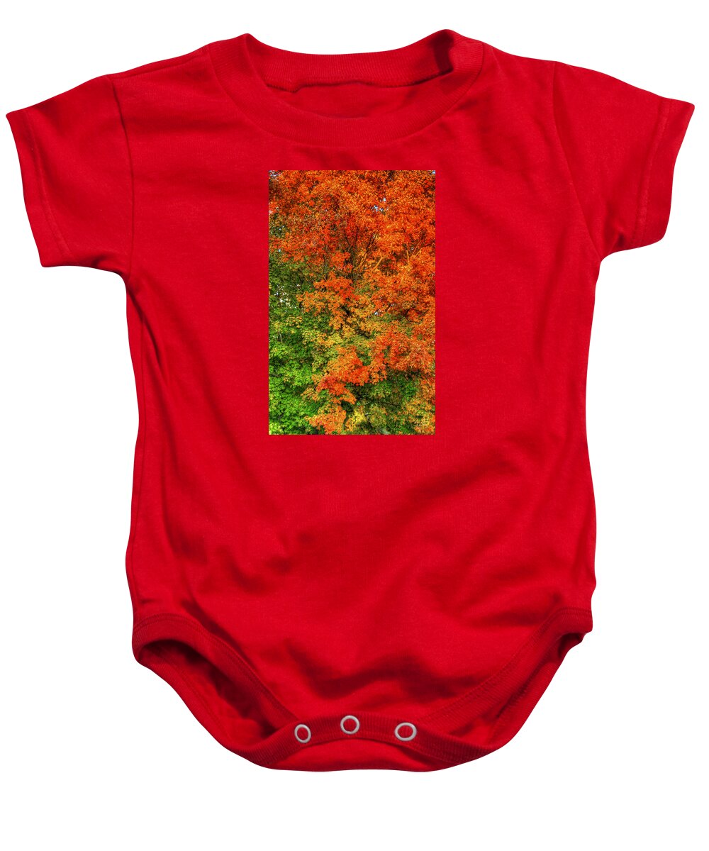 Nature Baby Onesie featuring the photograph The Changing Leaves by Sam Davis Johnson