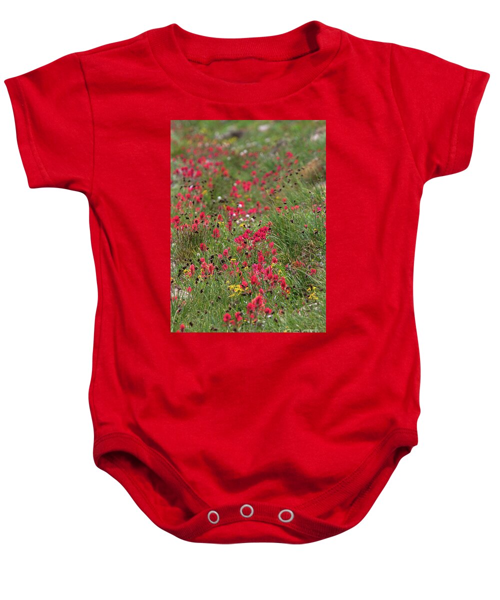Red Wildflowers Baby Onesie featuring the photograph The Crimson Tide by Jim Garrison