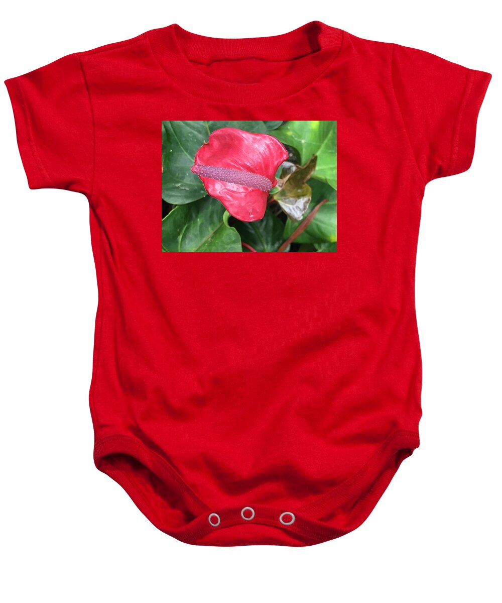 Plants Baby Onesie featuring the photograph Touch of Red by Jean Wolfrum