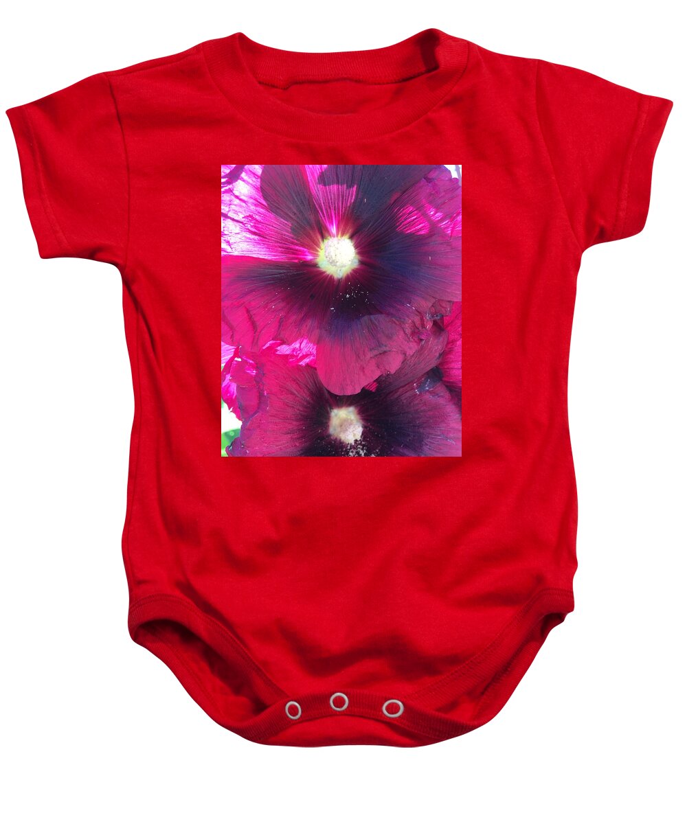 Flowers Baby Onesie featuring the photograph Violet Flowers by Pamela Henry