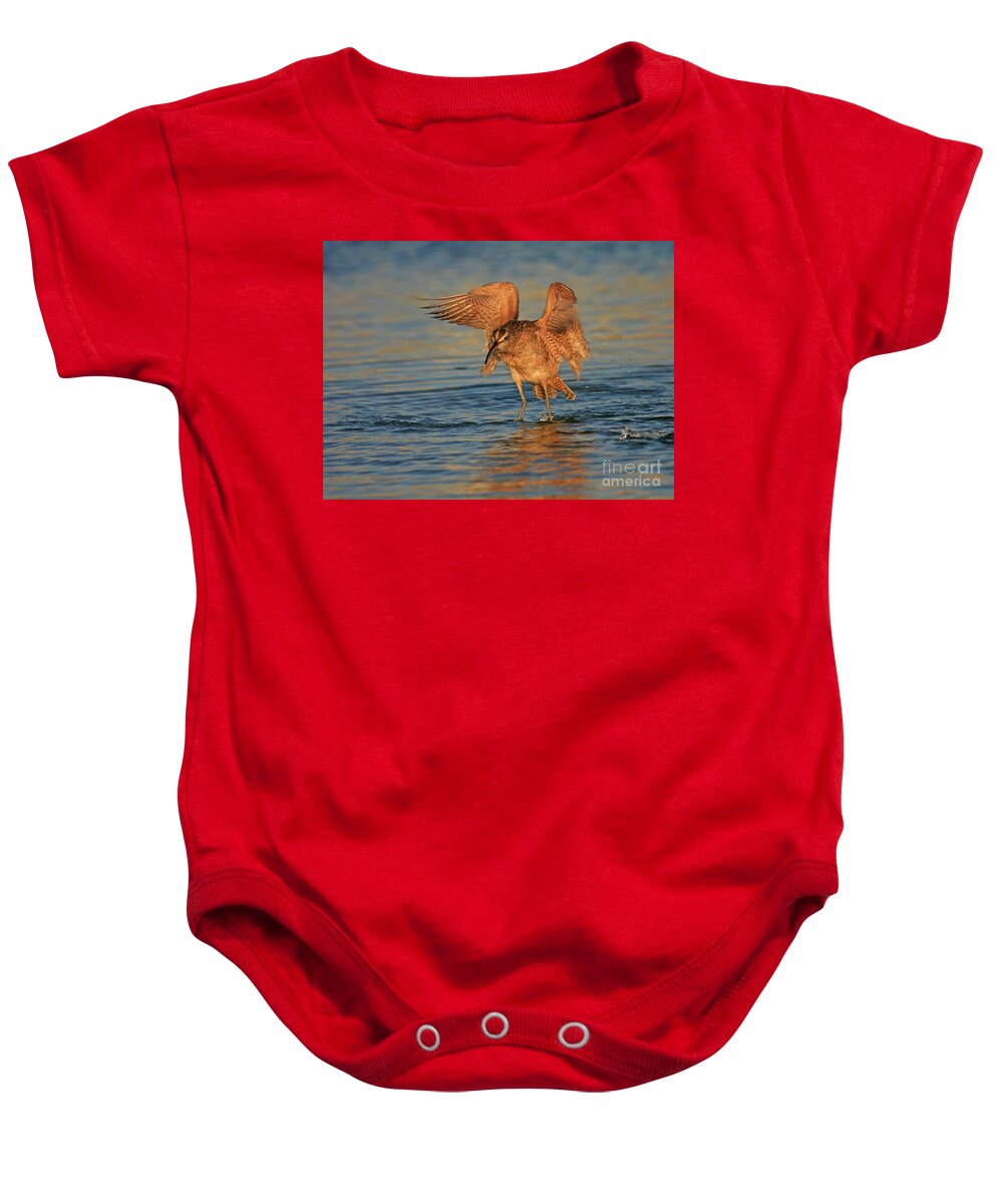 Whimbrel Baby Onesie featuring the photograph Whimbrel Colors by John F Tsumas