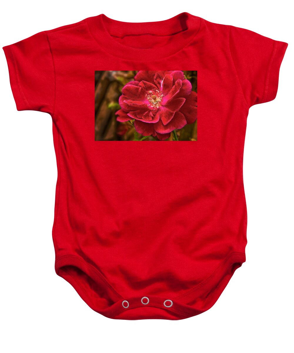  Rose Baby Onesie featuring the photograph Wild rose as oil by Charles Muhle