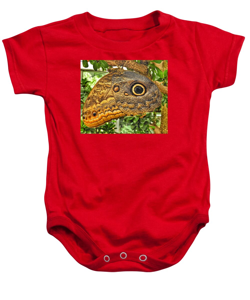 Brookside Gardens Baby Onesie featuring the photograph Wings of Fancy I by Kathi Isserman