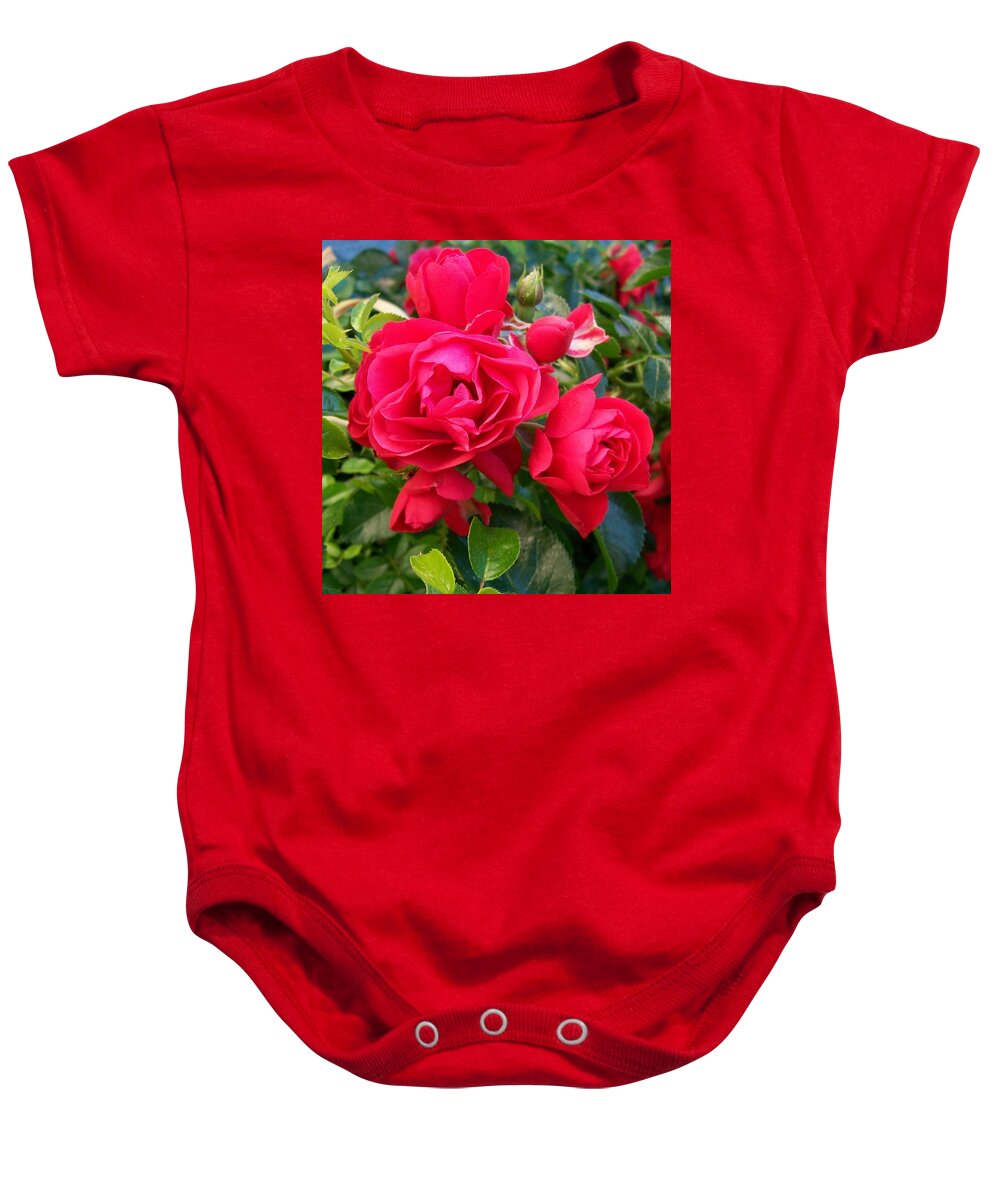 Valentine Baby Onesie featuring the photograph Rose is a Rose #1 by Sharon Duguay