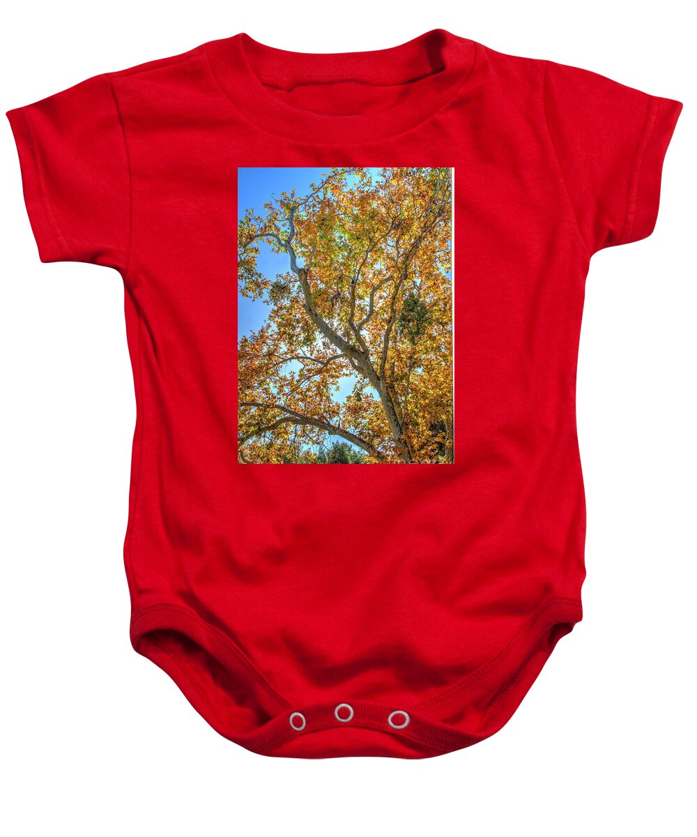 Fall Baby Onesie featuring the photograph Fall #3 by Marc Bittan