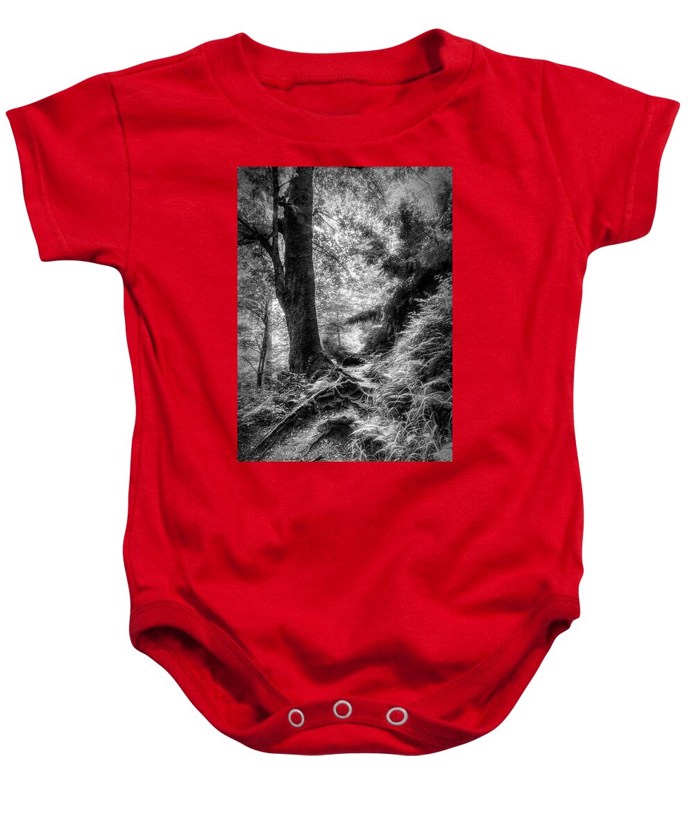 Fog Baby Onesie featuring the photograph Appalachian Trail in Black and White by Debra and Dave Vanderlaan