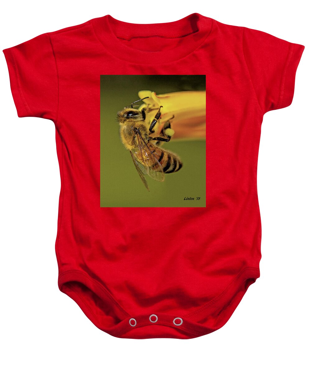 Bee Baby Onesie featuring the photograph European Honey Bee by Larry Linton