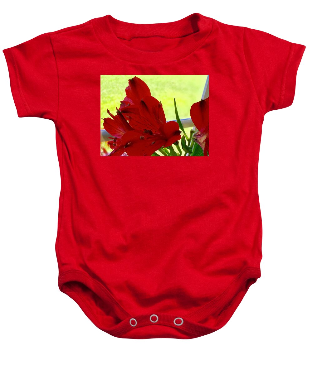 Christmas Amaryllis Baby Onesie featuring the photograph Christmas Amaryllis by Debra Grace Addison