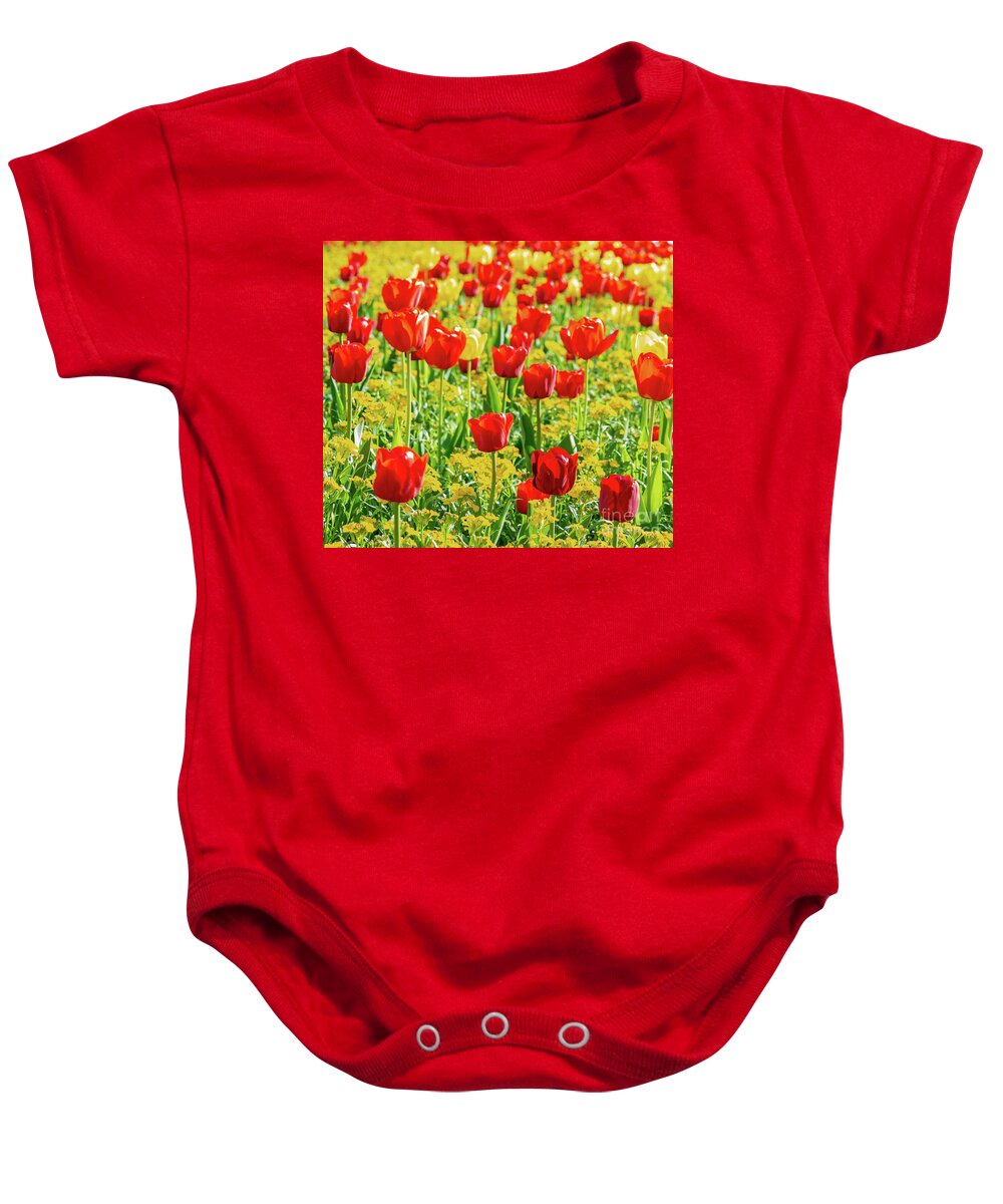 Tulips Baby Onesie featuring the photograph Colourful springtime, Beautiful red tulip and wallflower bed by Ulrich Wende