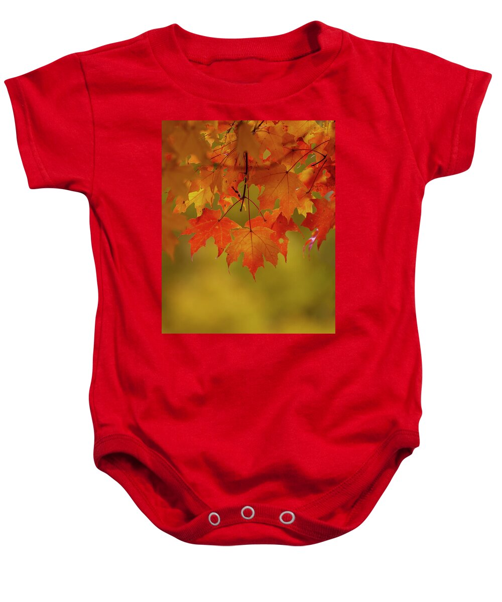 New England Baby Onesie featuring the photograph Fall Leaves by Rob Davies