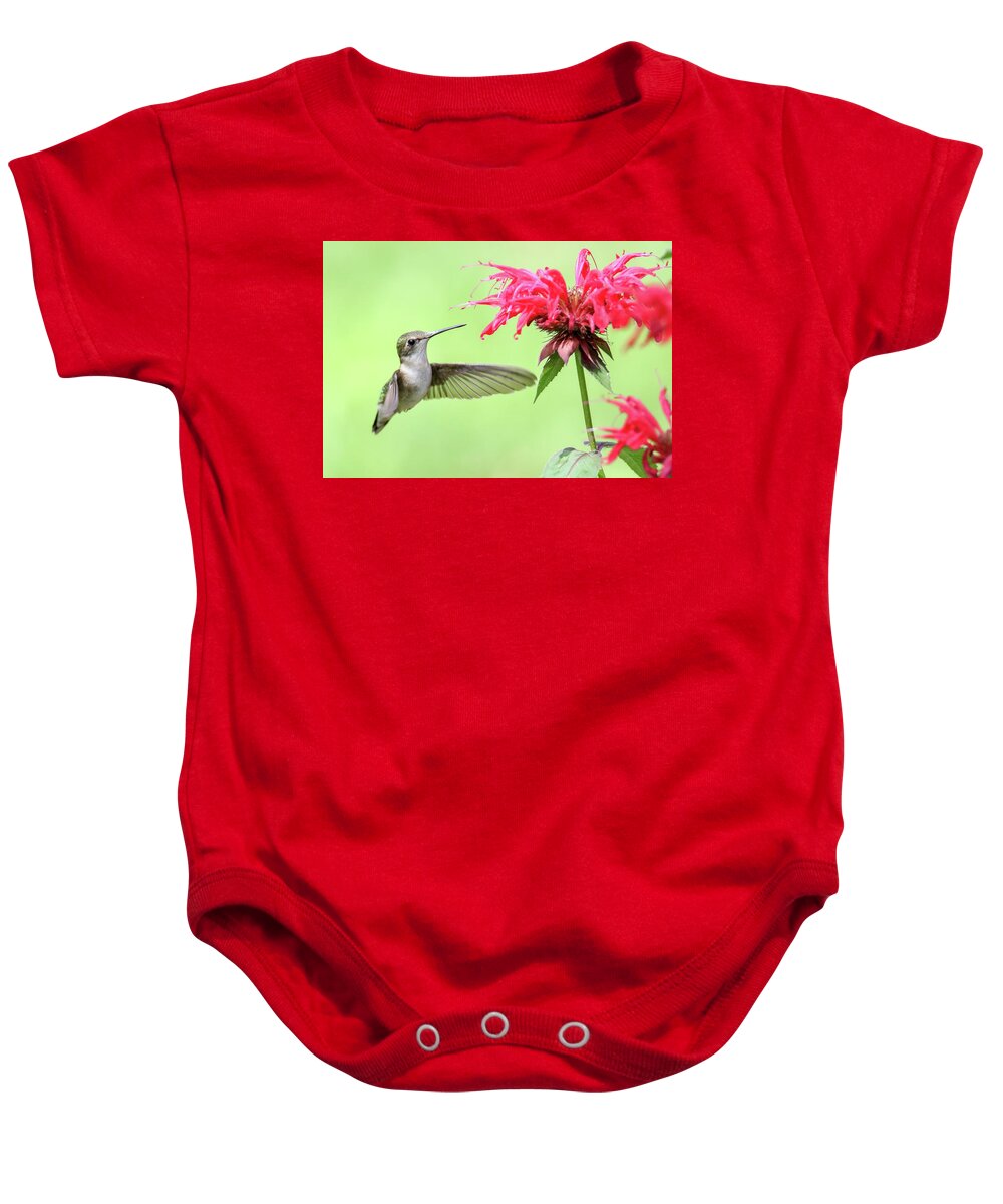 Hummingbird Baby Onesie featuring the photograph Hummingbird And Bee Balm 2 by Brook Burling