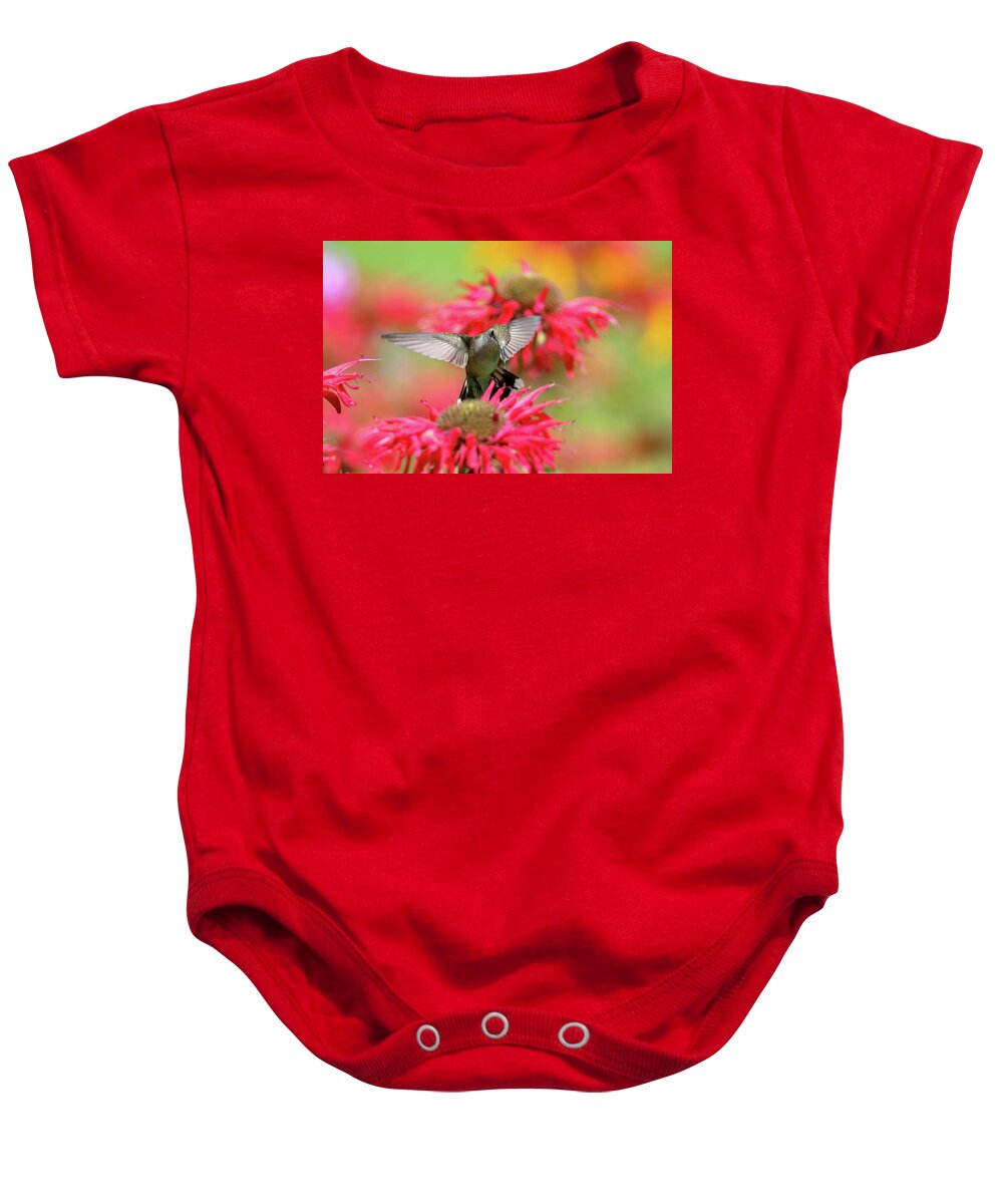 Hummingbird Baby Onesie featuring the photograph Hummingbird And Bee Balm 5 by Brook Burling