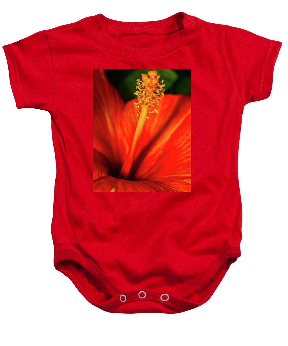 Closeup Baby Onesie featuring the photograph Into a Flower by Dheeraj Mutha