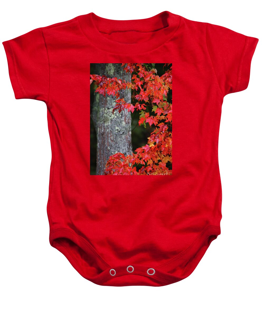Maine Fall Colors Baby Onesie featuring the photograph Maine in the Fall by Terri Brewster