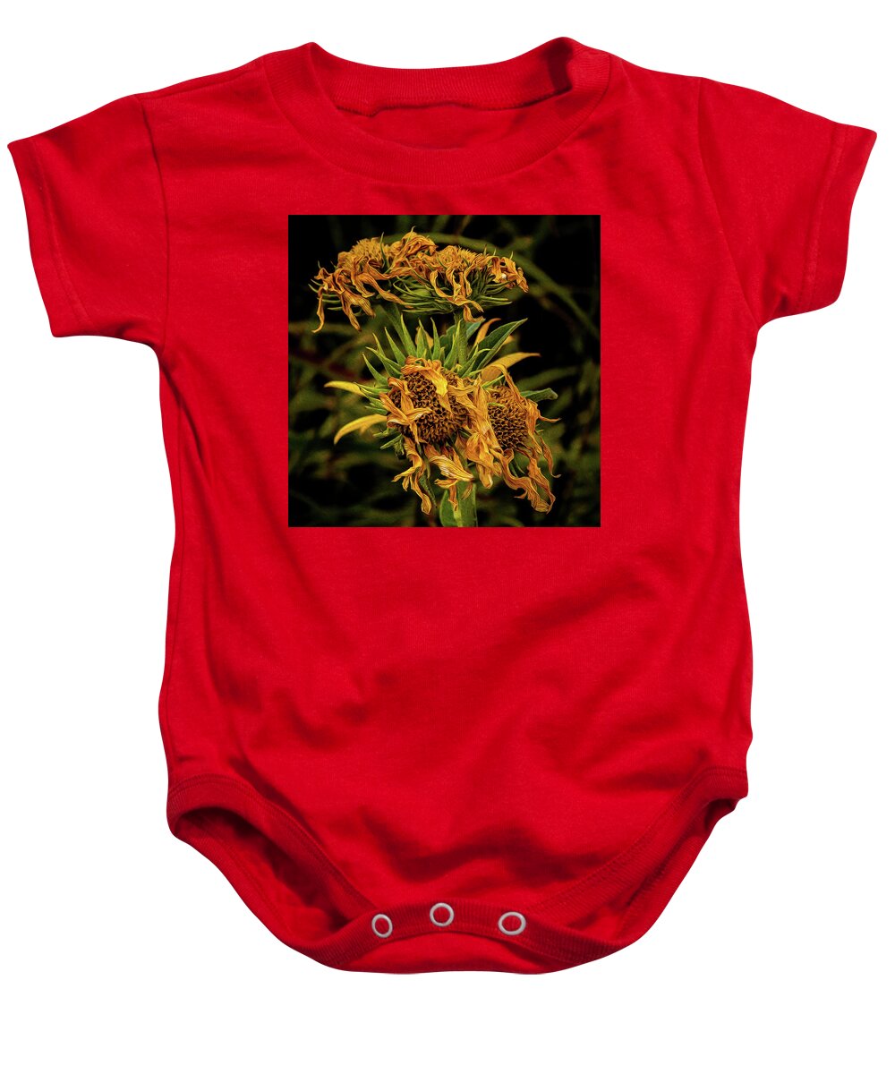 Cluster Baby Onesie featuring the photograph Moonlight Quartetto by Michael Gross