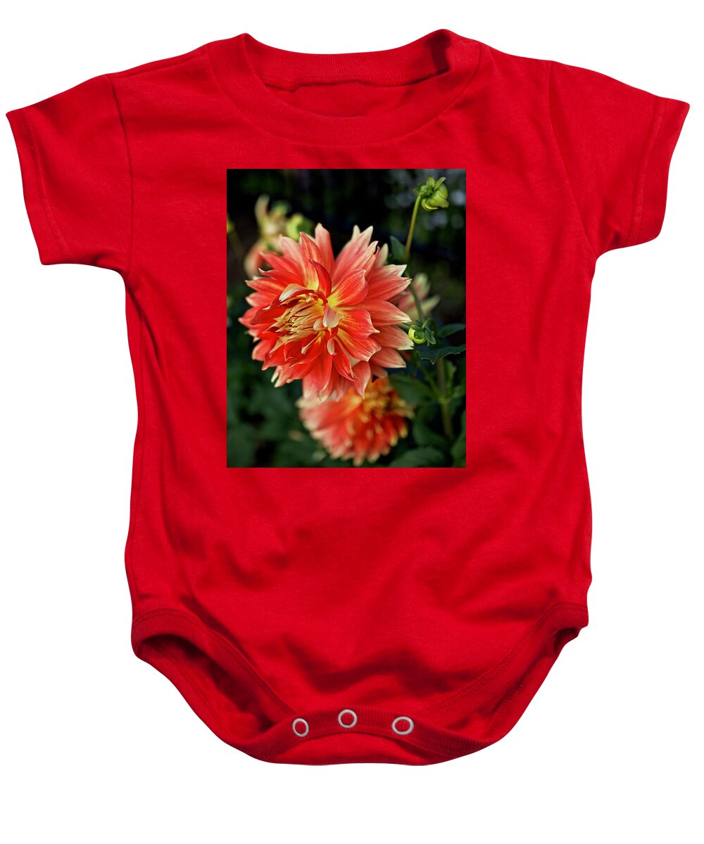 Dahlia Baby Onesie featuring the photograph OMG Dahlia by Todd Kreuter
