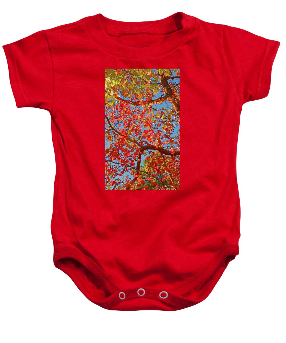 Baby Onesie featuring the photograph Orange Leaves by Eunice Warfel