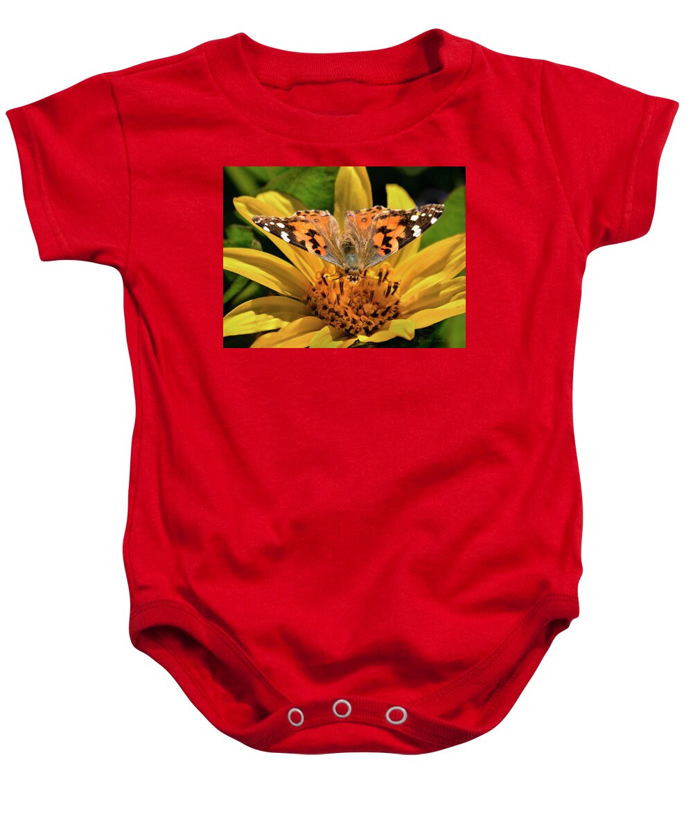 Butterfly Baby Onesie featuring the photograph Painted Lady Butterfly and Mules Ears Wildflower by Brian Tada