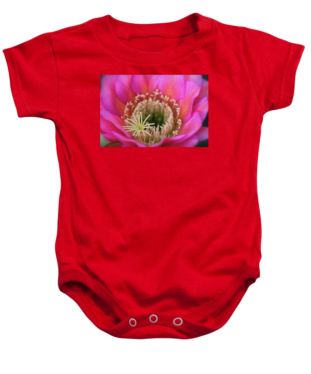 Pink Cactus Flower Baby Onesie featuring the photograph Pink Up Close And Close Personal by Saija Lehtonen