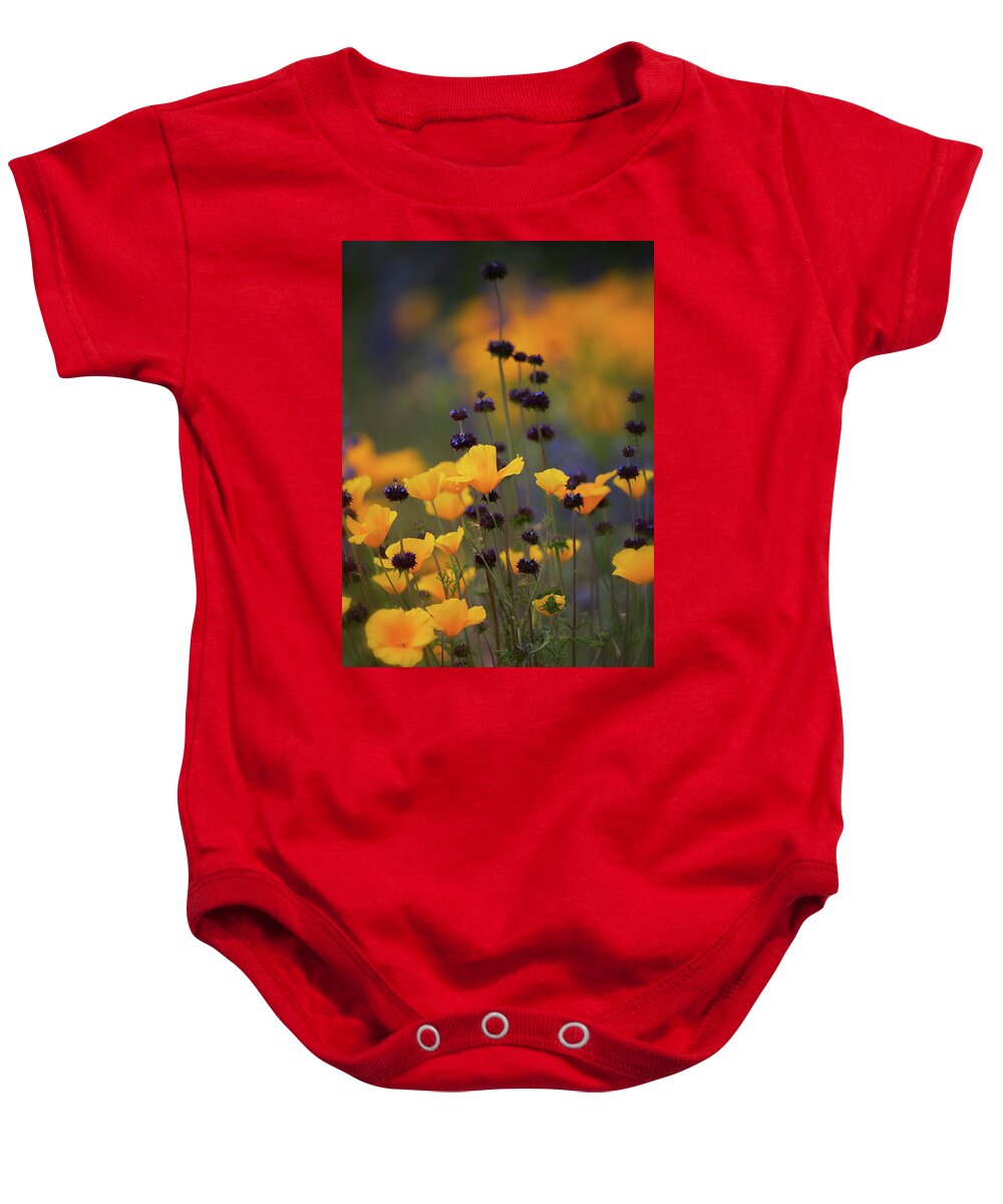 Wildflowers Baby Onesie featuring the photograph Poppies And Desert Chia by Saija Lehtonen