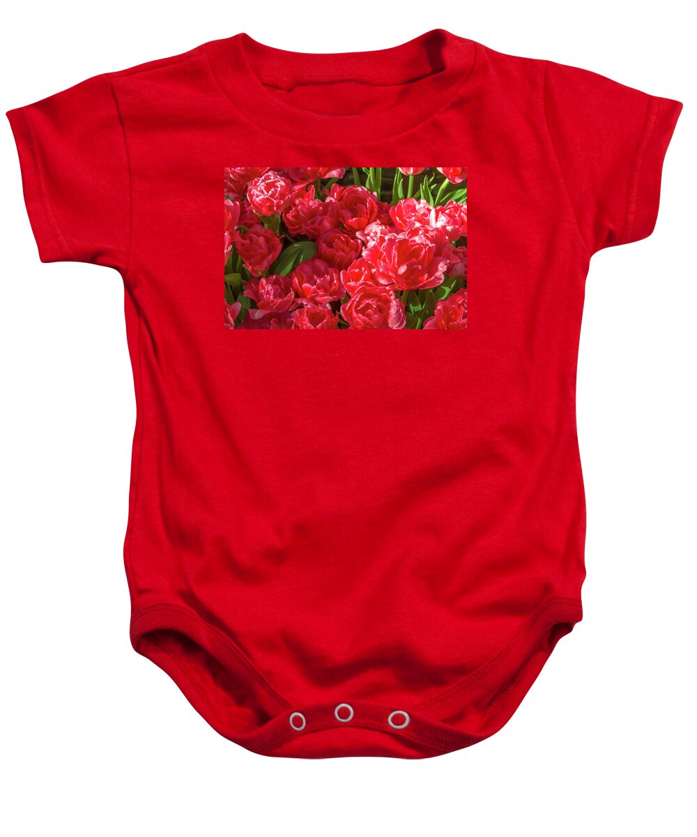 Red Tulips In Bloom 2 Baby Onesie featuring the photograph Red Tulips in Bloom 2 by Bonnie Follett