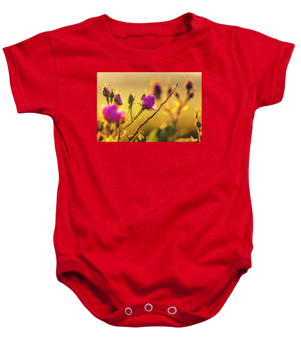 Bulgaria Baby Onesie featuring the photograph Roses In Gold by Evgeni Dinev