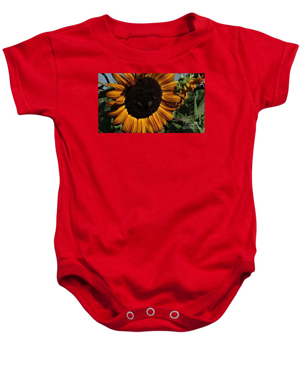 Bright Burgundy Sunflowers In The Summer Garden.#sunflower Five Feet Or More In Height Baby Onesie featuring the photograph Sunflower 4 by J L Zarek