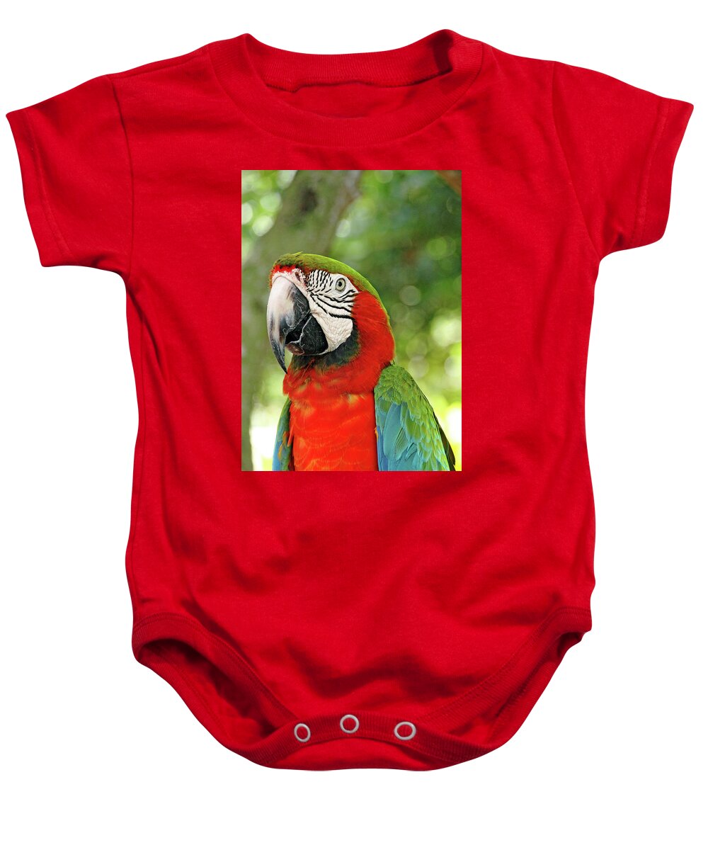 Macaw Baby Onesie featuring the photograph Vibrant Macaw by Debbie Oppermann